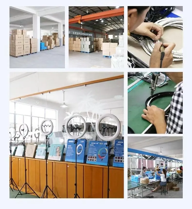 10/16/19/24 Inch LED Video Light With Professional Remote Control Dimmable Panel Lighting Photo Studio Live Photography